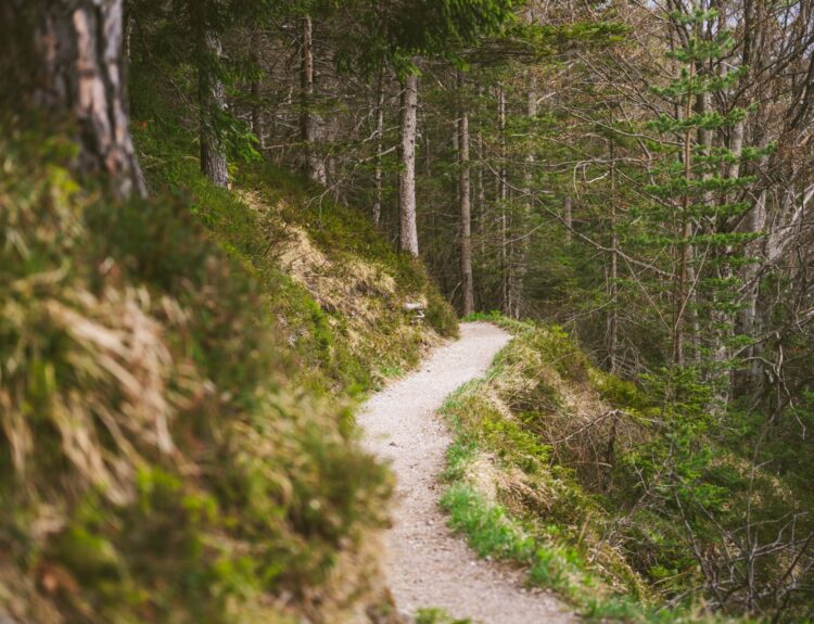 ΜΟΝΟΠΑΤΙ, ΦΥΣΗ