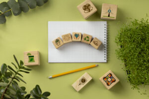 ΠΡΑΣΙΝΟ ΣΧΟΛΕΙΟ, ΕΚΠΑΙΔΕΥΣΗ