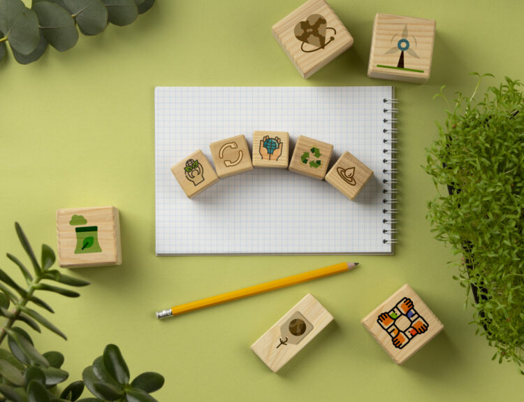 ΠΡΑΣΙΝΟ ΣΧΟΛΕΙΟ, ΕΚΠΑΙΔΕΥΣΗ