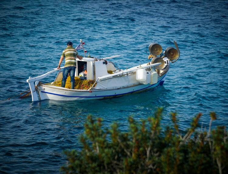 ΑΛΙΕΙΑ, ΨΑΡΕΜΑ