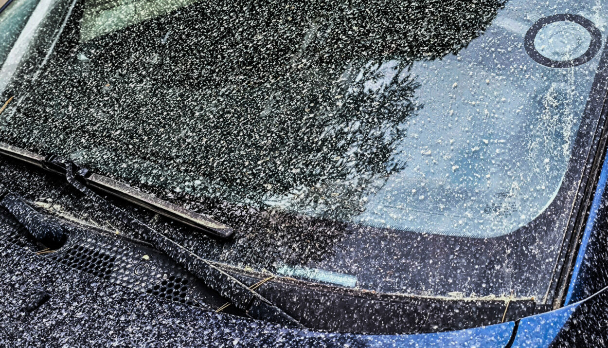 ΛΑΣΠΟΒΡΟΧΗ