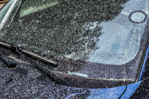 ΛΑΣΠΟΒΡΟΧΗ