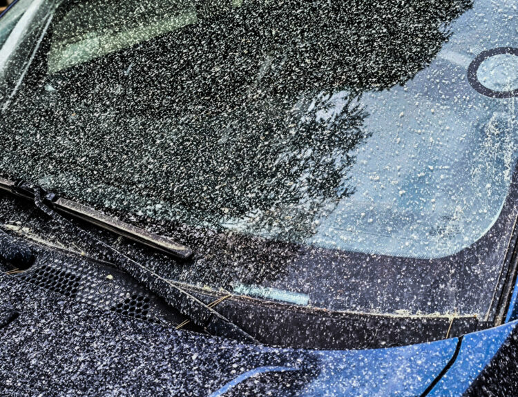 ΛΑΣΠΟΒΡΟΧΗ