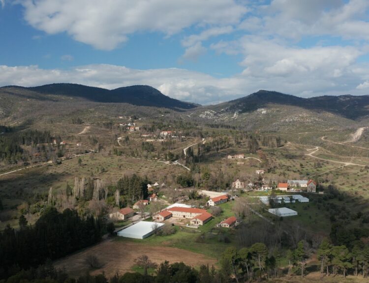 ΠΡΩΗΝ ΒΑΣΙΛΙΚΟ ΚΤΗΜΑ ΤΑΤΟΙΟΥ
