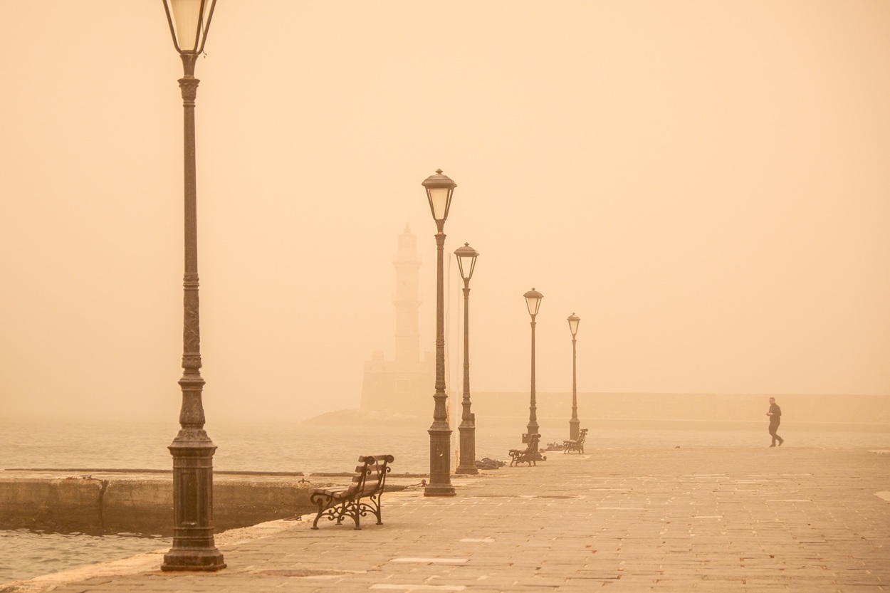 ΑΦΡΙΚΑΝΙΚΗ ΣΚΟΝΗ