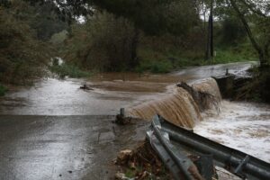 ΣΠΑΤΑ ΑΤΤΙΚΗΣ ΚΑΚΟΚΑΙΡΙΑ ERMINIO
