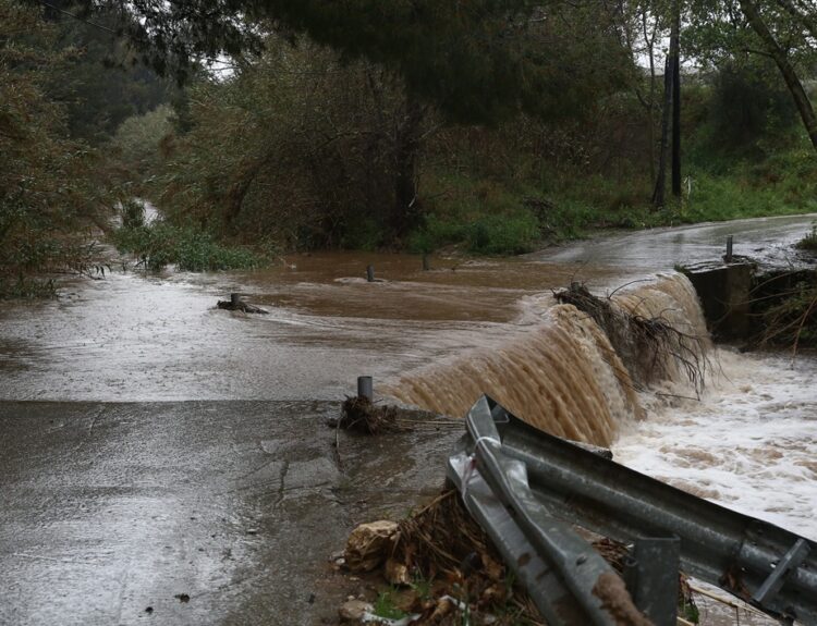 ΣΠΑΤΑ ΑΤΤΙΚΗΣ ΚΑΚΟΚΑΙΡΙΑ ERMINIO