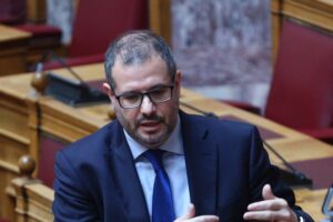 ΝΙΚΟΣ ΤΣΑΦΟΣ, ΒΟΥΛΗ