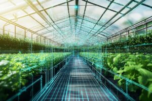 Σύγχρονο θερμοκήπιο υψηλής τεχνολογίας με συστήματα ελέγχου καλλιέργειας, που επιτρέπουν εξοικονόμηση νερού και αύξηση της παραγωγικότητας © pixabay