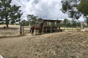 YGEA FARM