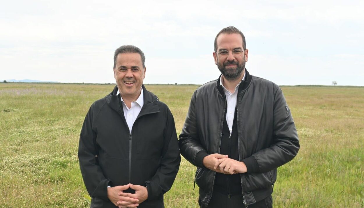 ΠΑΠΑΣΤΑΥΡΟΥ ΦΑΡΜΑΚΗΣ