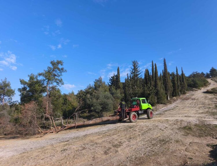 ΑΠΟΜΑΚΡΥΝΣΗ ΞΕΡΩΝ ΔΕΝΤΡΩΝ
