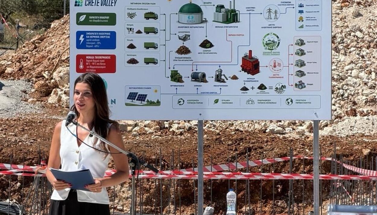 ΔΕΣΠΟΙΝΑ ΠΑΛΗΑΡΟΥΤΑ