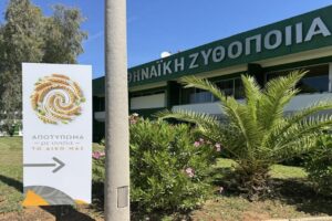 ΑΘΗΝΑΙΚΗ ΖΥΘΟΠΟΙΕΙΑ