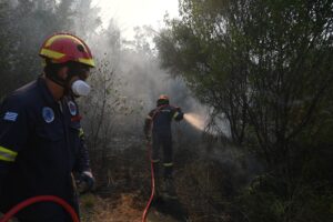 XALKIDIKI PYRKAGIA © 2026 ΑΘΗΝΑΪΚΟ ΠΡΑΚΤΟΡΕΙΟ ΕΙΔΗΣΕΩΝ - ΜΑΚΕΔΟΝΙΚΟ ΠΡΑΚΤΟΡΕΙΟ ΕΙΔΗΣΕΩΝ